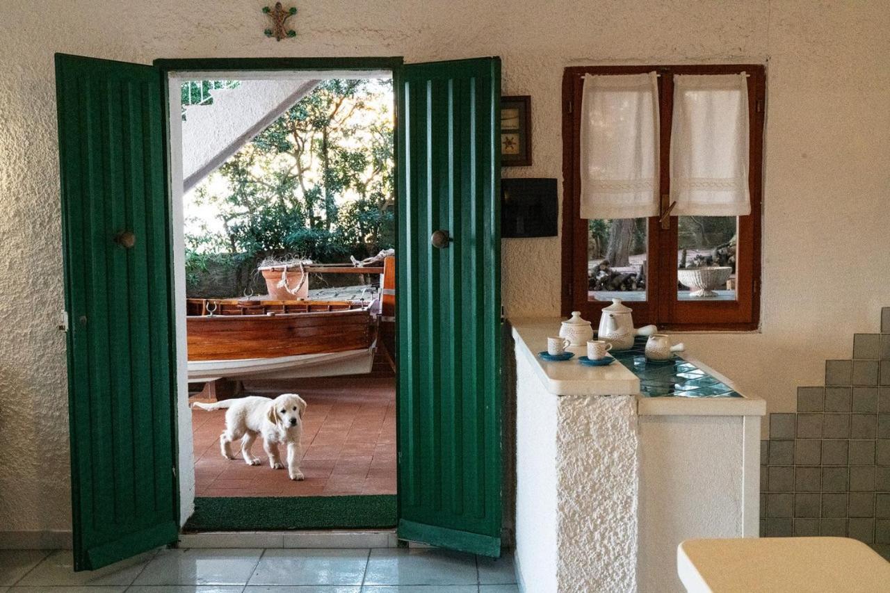 Villa Angela Santa Teresa Gallura Luaran gambar